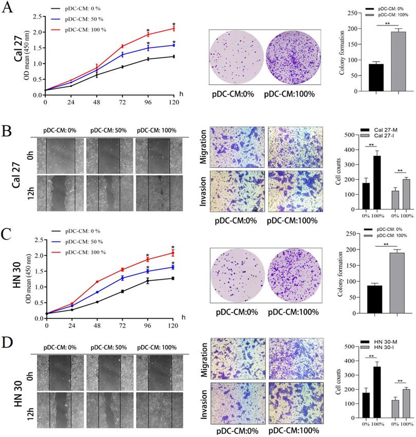 J Cancer Image