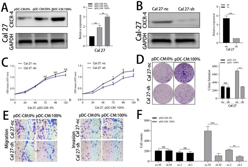 J Cancer Image