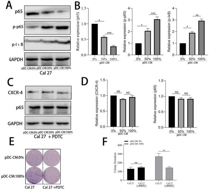 J Cancer Image