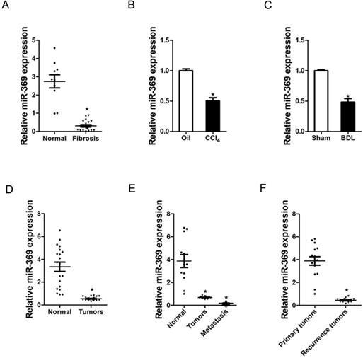 J Cancer Image