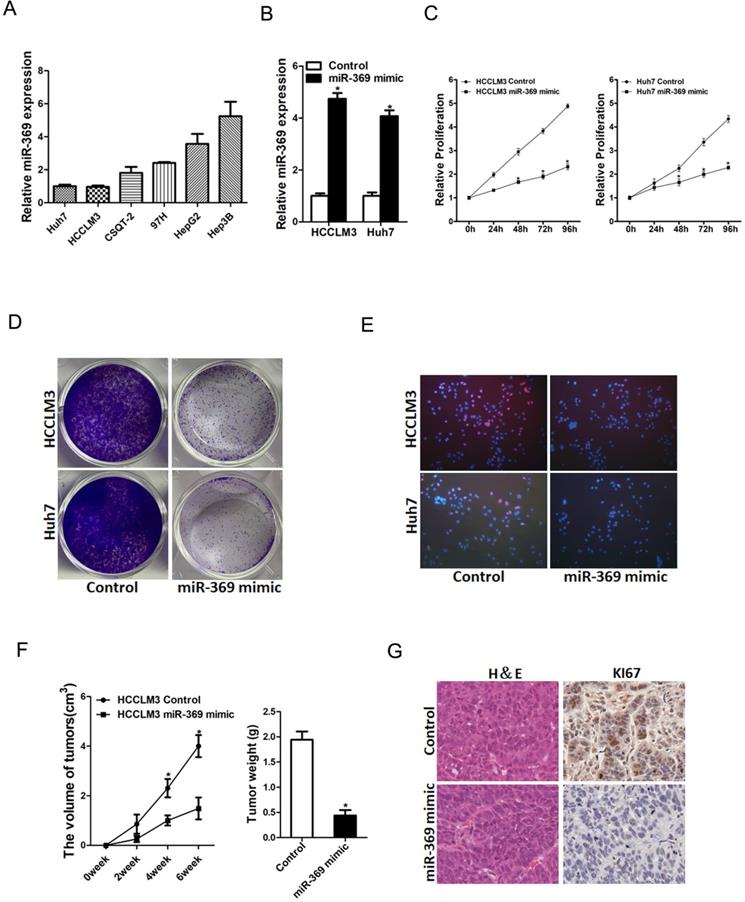 J Cancer Image