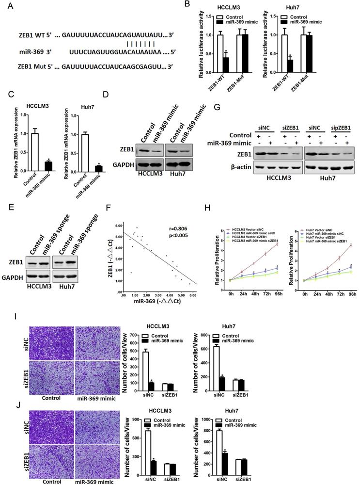 J Cancer Image