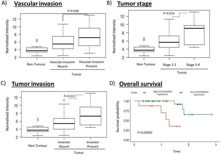 J Cancer Image