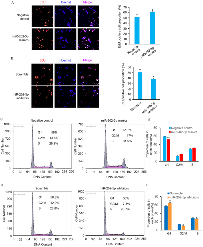 J Cancer Image