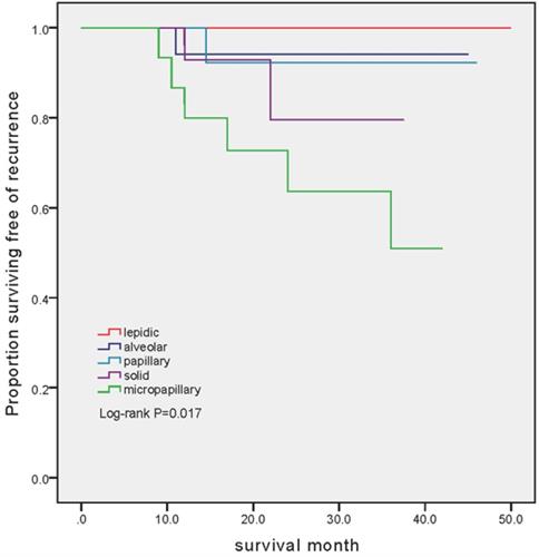 J Cancer Image