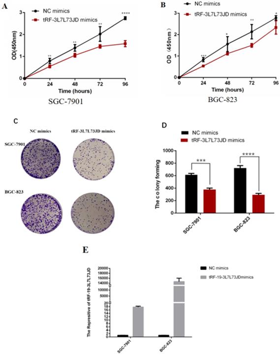 J Cancer Image