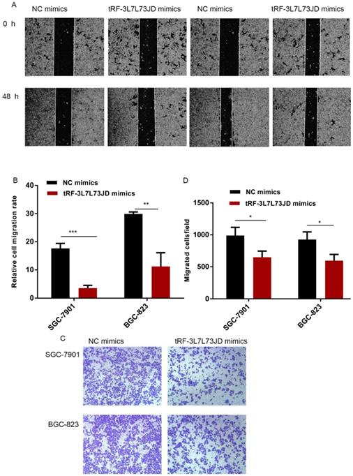 J Cancer Image