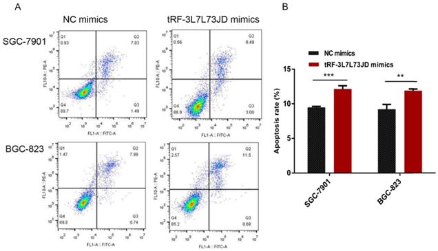 J Cancer Image