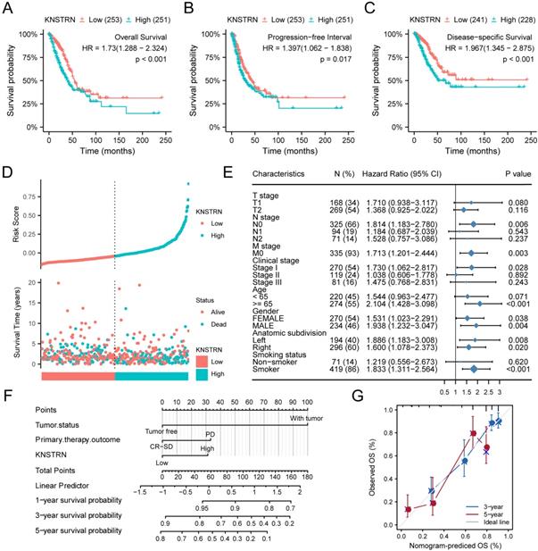 J Cancer Image