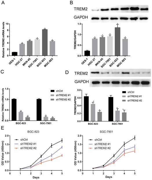 J Cancer Image