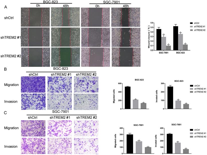 J Cancer Image