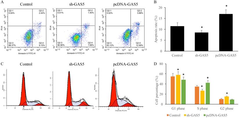 J Cancer Image