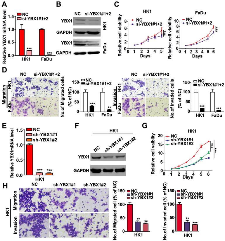 J Cancer Image