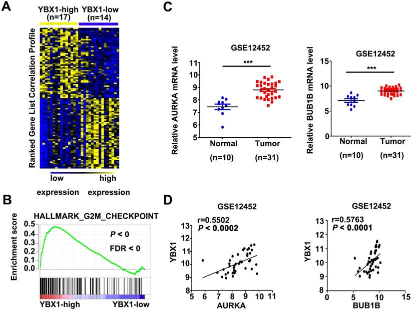 J Cancer Image