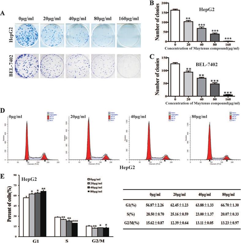 J Cancer Image