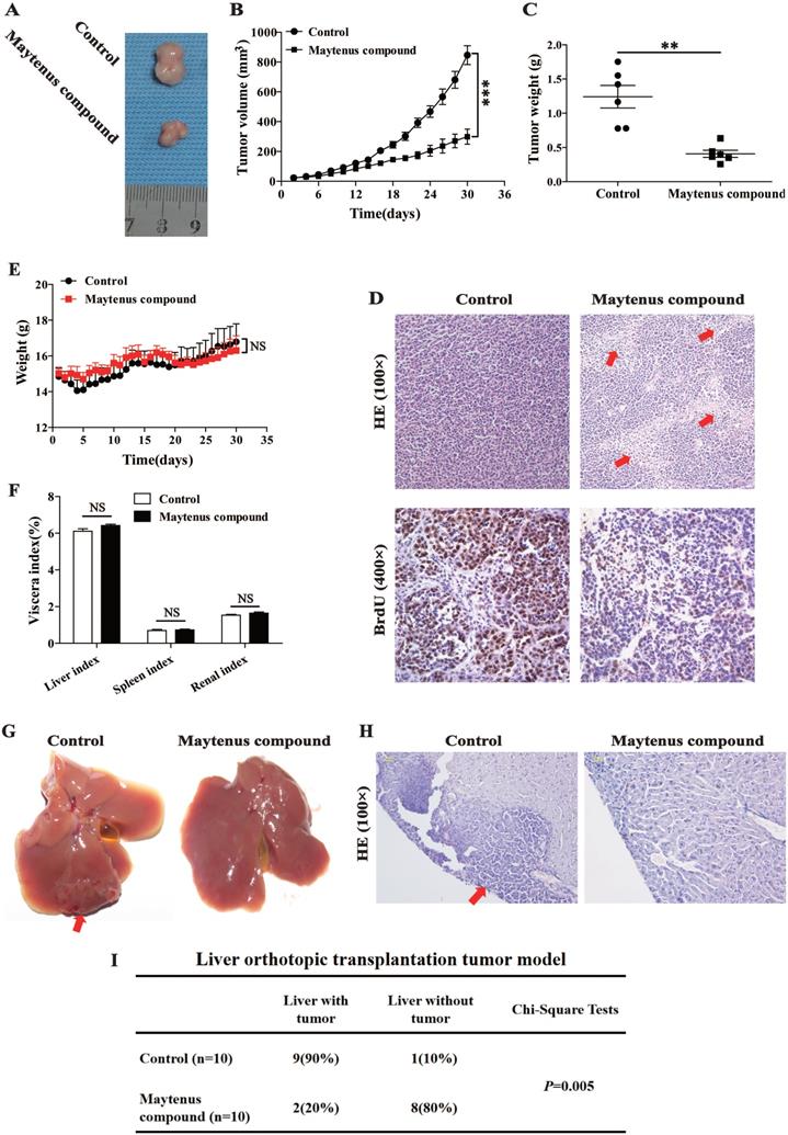 J Cancer Image