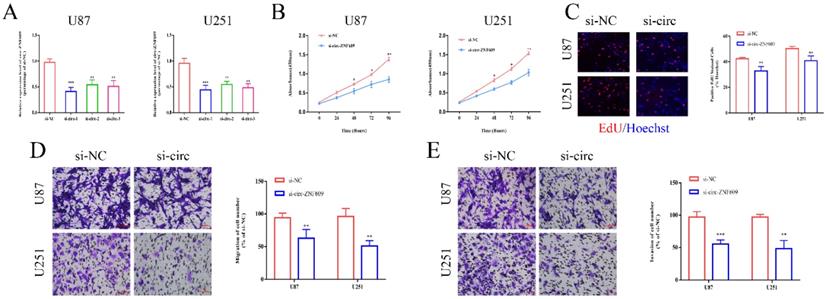 J Cancer Image