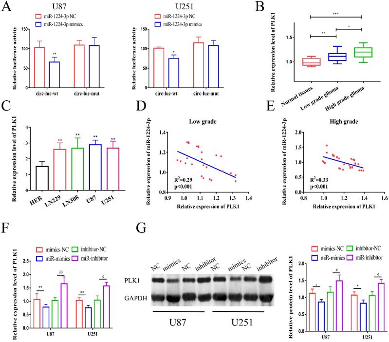 J Cancer Image