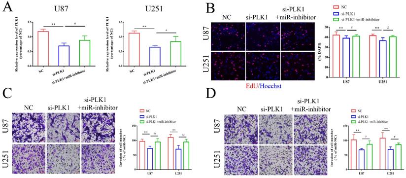 J Cancer Image