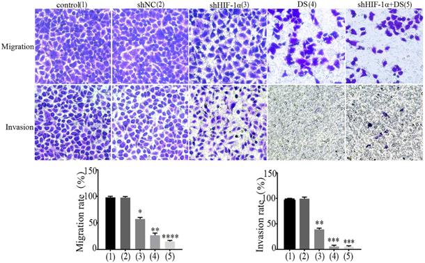 J Cancer Image