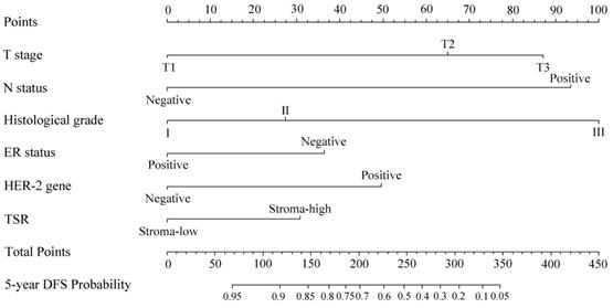 J Cancer Image