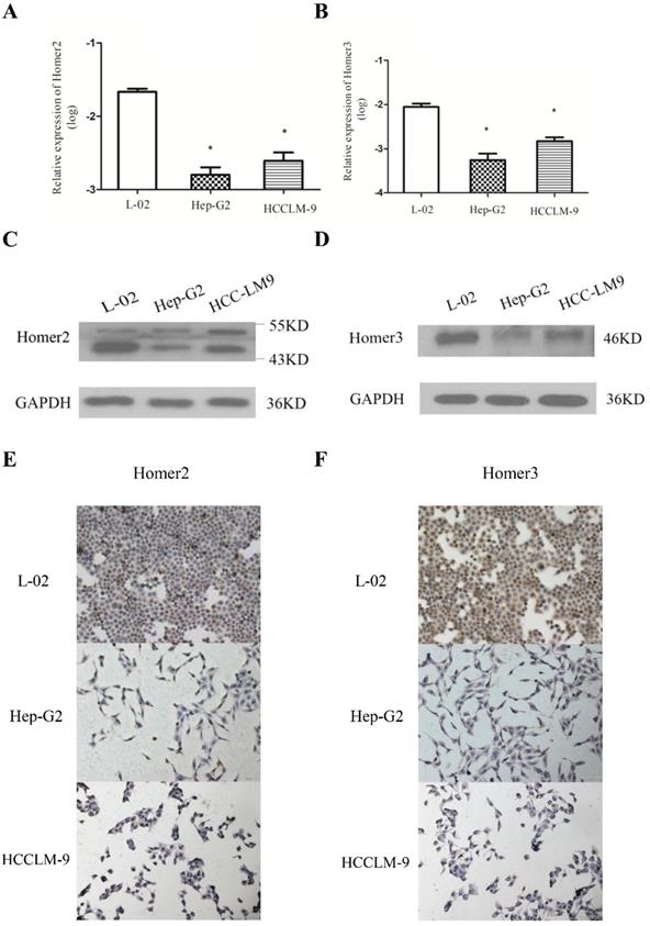 J Cancer Image