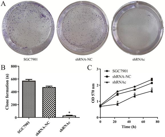 J Cancer Image