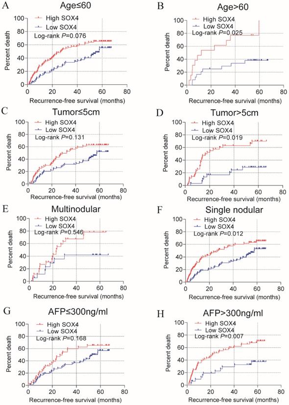 J Cancer Image