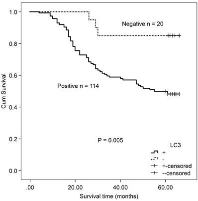 J Cancer Image