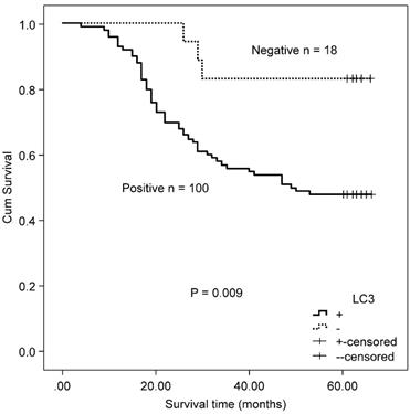 J Cancer Image