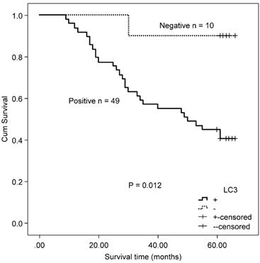 J Cancer Image