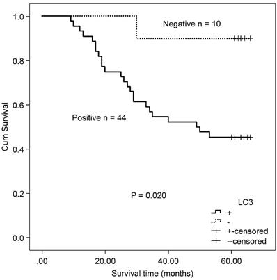 J Cancer Image