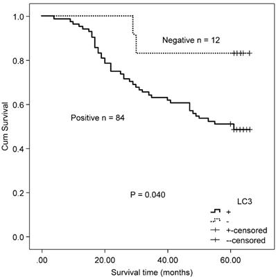 J Cancer Image