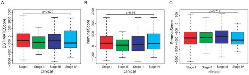 J Cancer Image