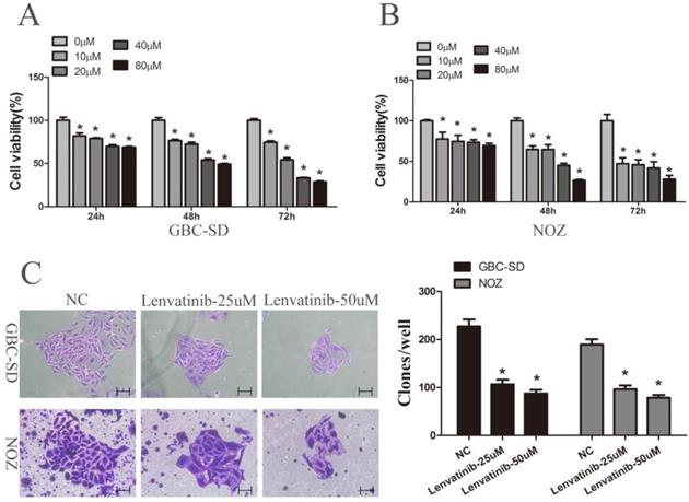 J Cancer Image