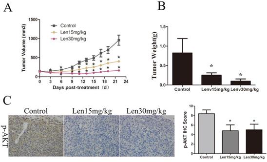 J Cancer Image