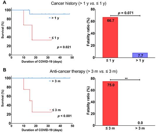 J Cancer Image