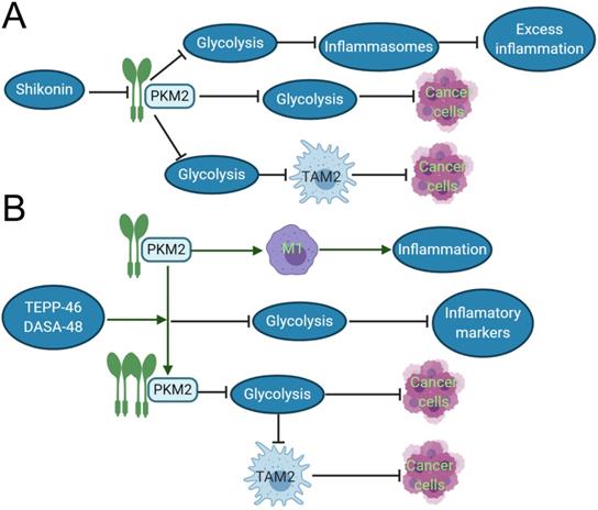 J Cancer Image