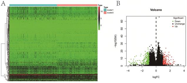 J Cancer Image