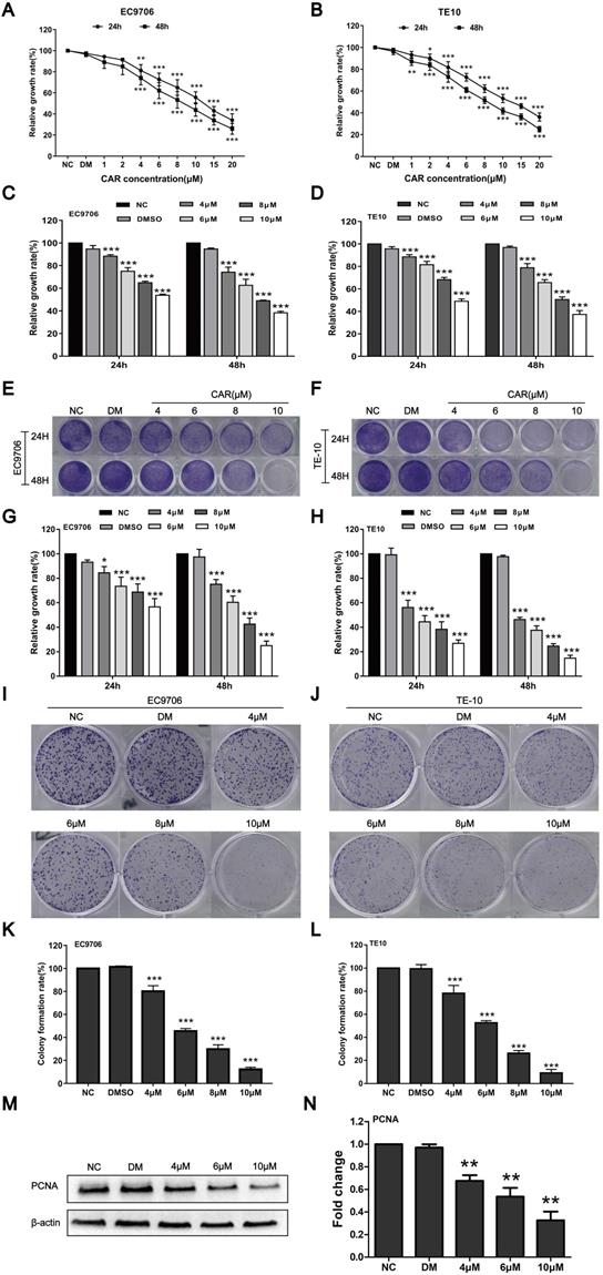 J Cancer Image