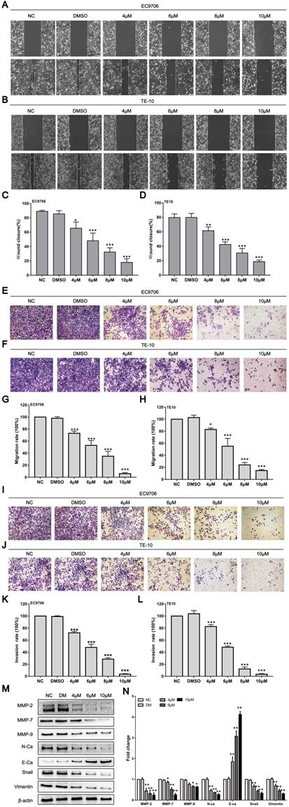 J Cancer Image