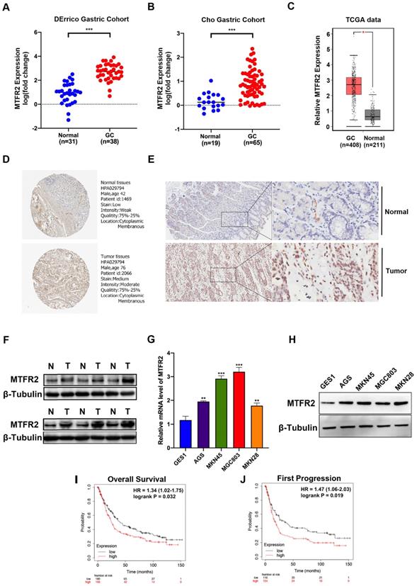 J Cancer Image