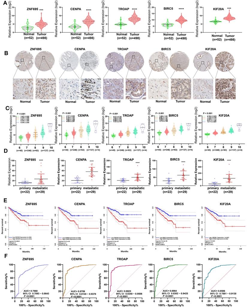 J Cancer Image