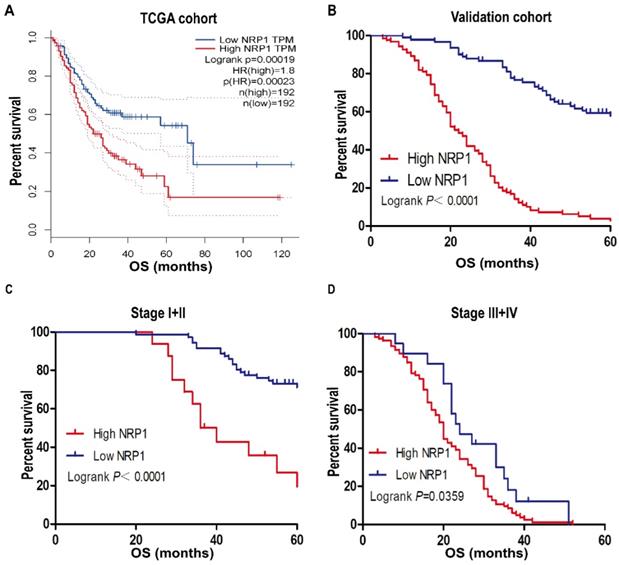 J Cancer Image