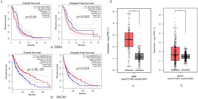 J Cancer Image