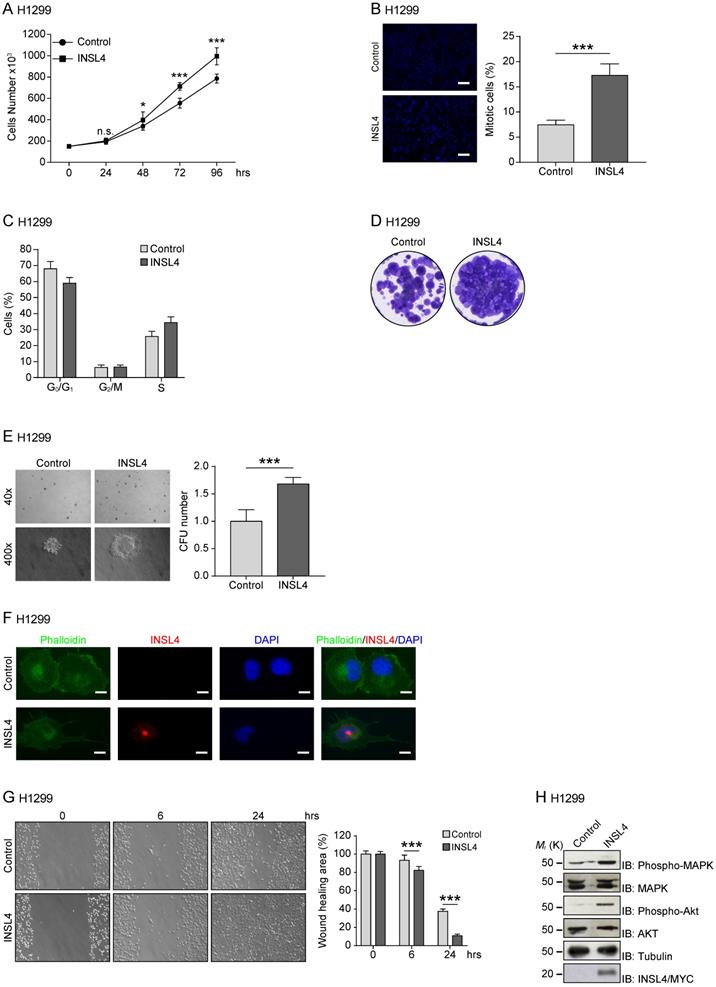 J Cancer Image