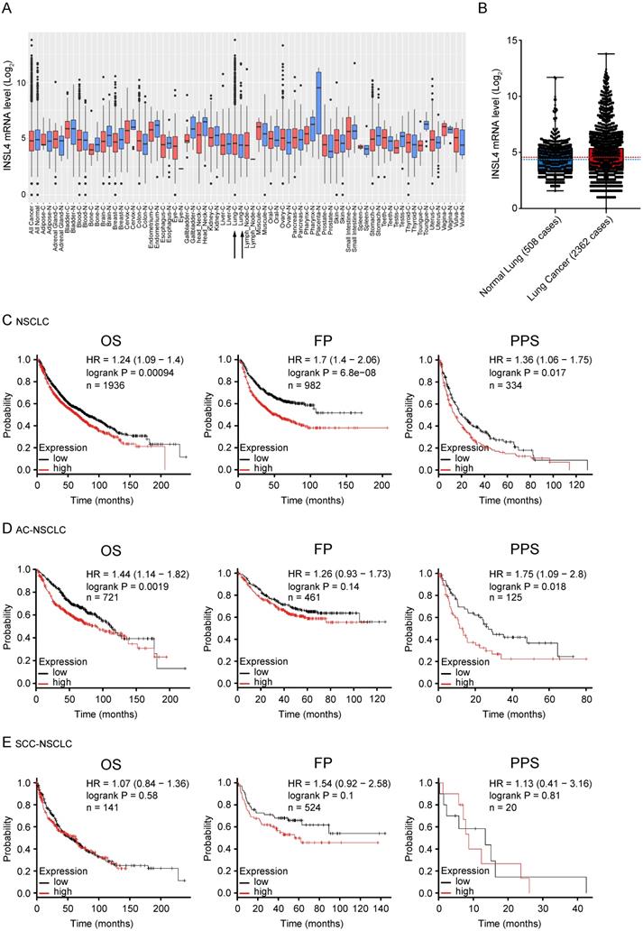 J Cancer Image