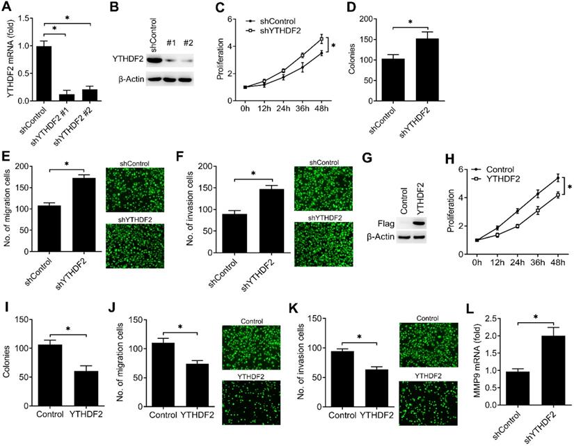 J Cancer Image