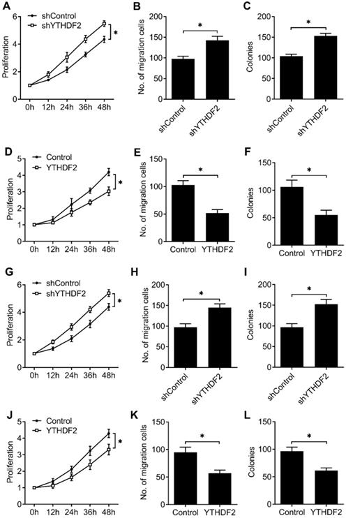 J Cancer Image