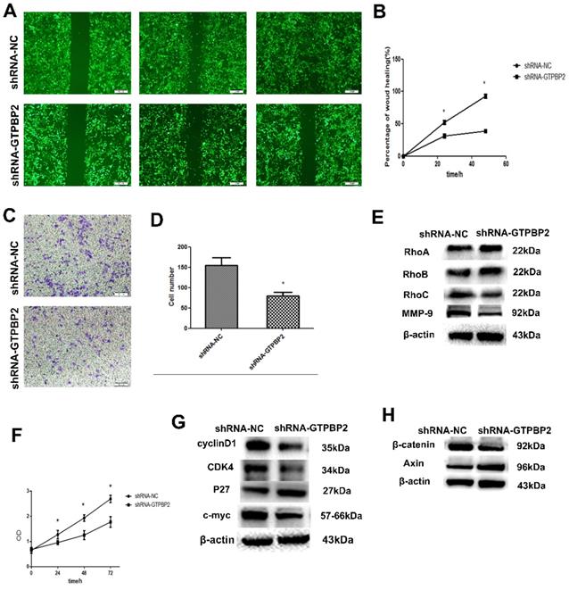 J Cancer Image